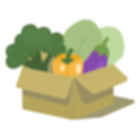 meal kit